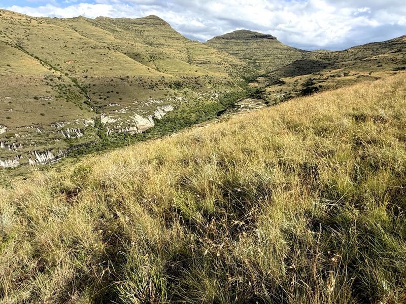 0 Bedroom Property for Sale in Fouriesburg Free State